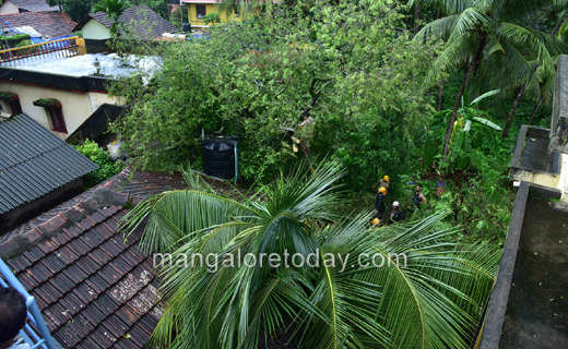 Heavy rains-